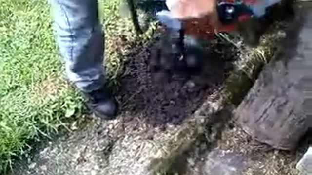 HOYADORA HUSQVARNA смотреть онлайн