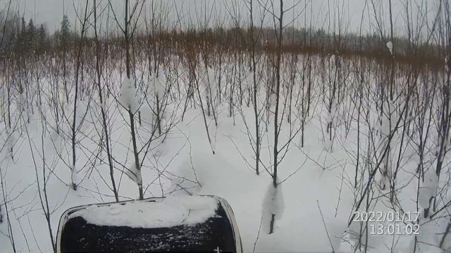 Ураган Сибирь 600 гусеница, по кустам в целый снег. смотреть онлайн