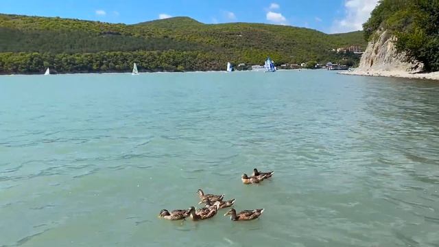 Выходные на море. Архипо-Осиповка, Геленджик, Кабардинка, Абрау-Дюрсо смотреть онлайн