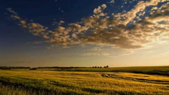 Родина смотреть онлайн