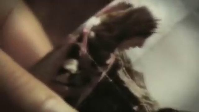 Catilina Sherman-Music for UnPontePer смотреть онлайн