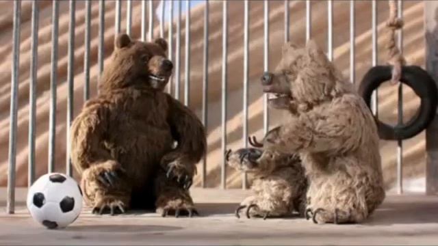 Robot Chicken (Робоцып - Два медведя)