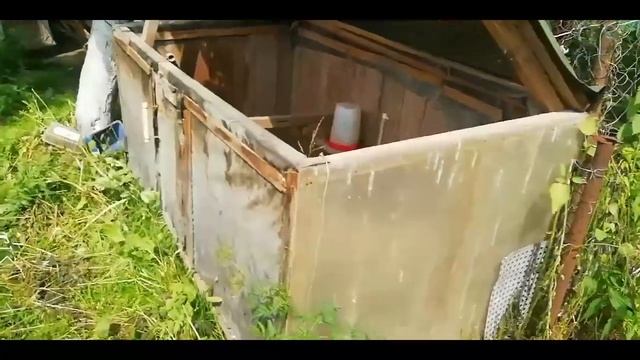 Зимний курятник с инфракрасной лампой своими руками смотреть онлайн