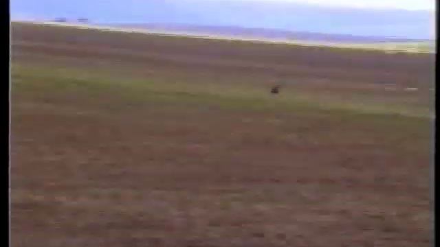 La Almunia club смотреть онлайн