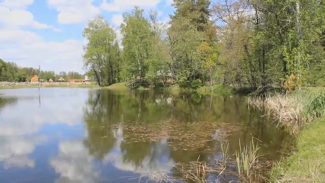 База отдыха «Лукоморье» Пенза пос Золотаревка, ул Сурская. смотреть онлайн