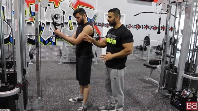 | DAY 2 | Complete Bicep & Tricep Workout for Beginners ! (Hindi / Punjabi) смотреть онлайн