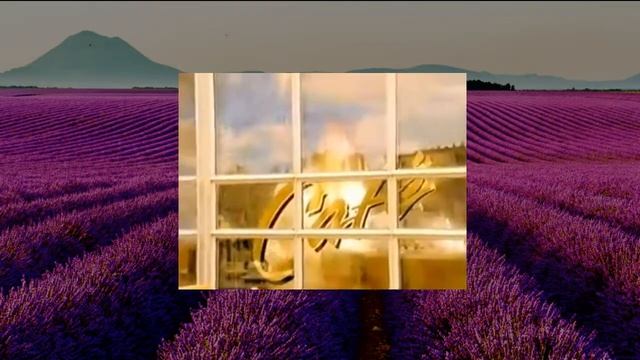 Poeme  Lancome новый аромат в коллекции БОНАМОР по мотивам Поэма Ланком