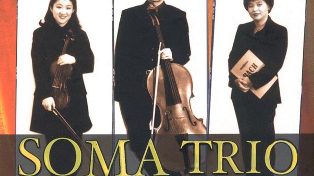Piano Trio in d minor, Op.120 - Allegro, ma non troppo смотреть онлайн