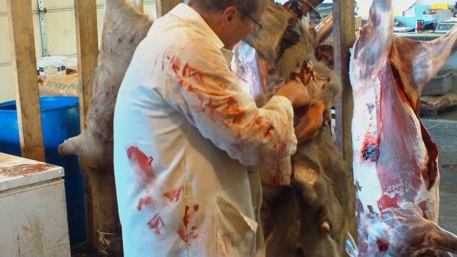 Skin Deer in 2 Minutes Heid Wild Game.MOV смотреть онлайн