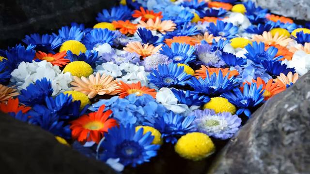 10.04.2022. ИМЕНА И АТРИБУТЫ БОГА: СЛОВО БОЖЬЕ. TANRININ ADLARI VƏ ATRİBUTLARI: KƏLAM. пастор Ильга смотреть онлайн