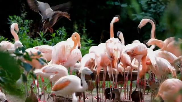 Поиск мужа на сайте знакомств. Ч.1