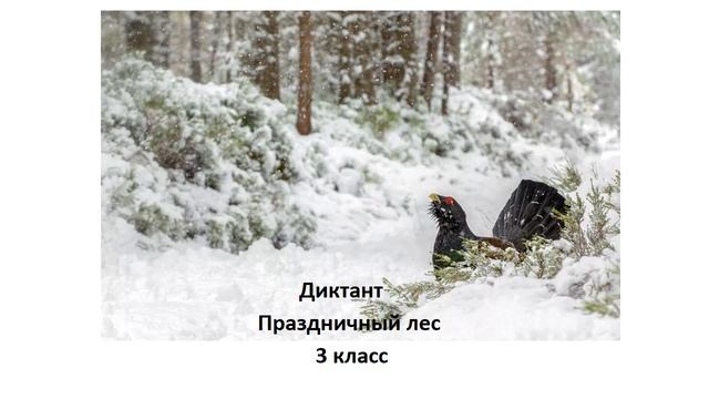 Праздничный лес 3 класс смотреть онлайн