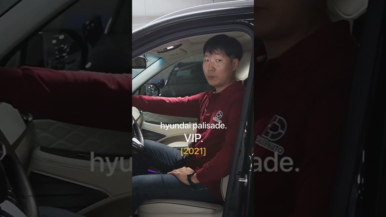 Получите шанс выиграть PALISADE VIP 2021 смотреть онлайн