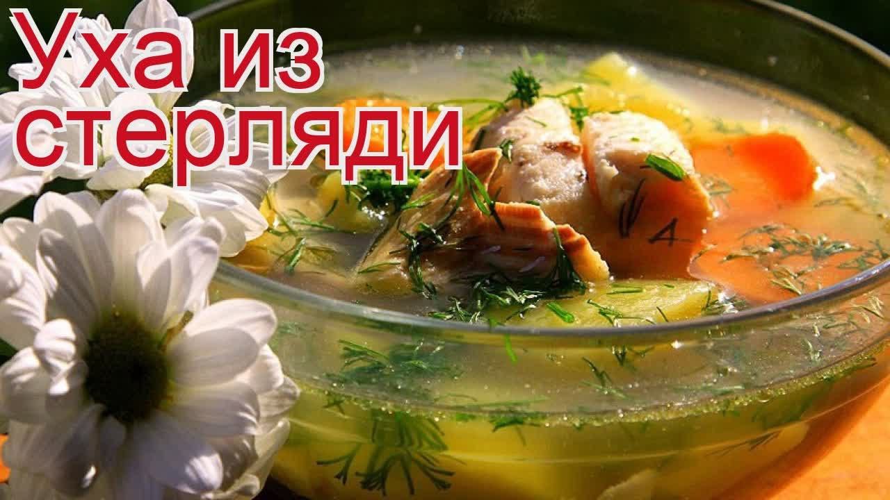 ДикоЕд - самая натуральная еда