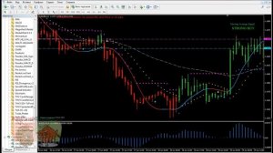 Стратегия Golden Turtle. Особенности применения