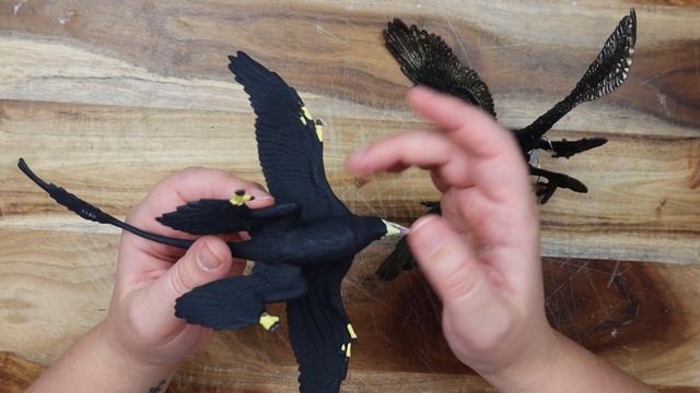 Microraptor review - Wild Safari + Collect смотреть онлайн