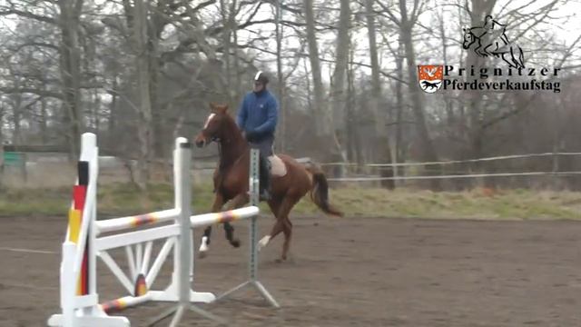 Pferdeverkaufstag Peter Charles смотреть онлайн