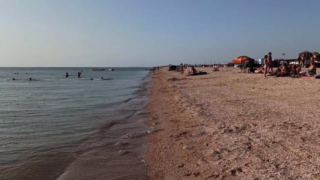 Должанская пляж 24 08 21 медузы, температура воды смотреть онлайн