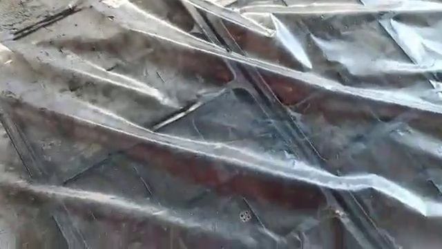 Выбор и количество цветов на первый сезон! смотреть онлайн