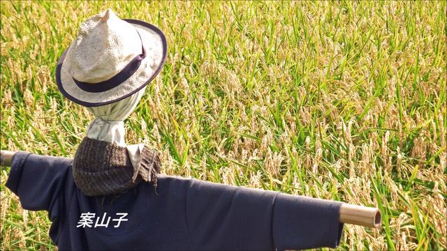 「案山子」を歌います♪ смотреть онлайн