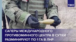 Саперы Международного противоминного центра в сутки разминируют по 1 га в ЛНР