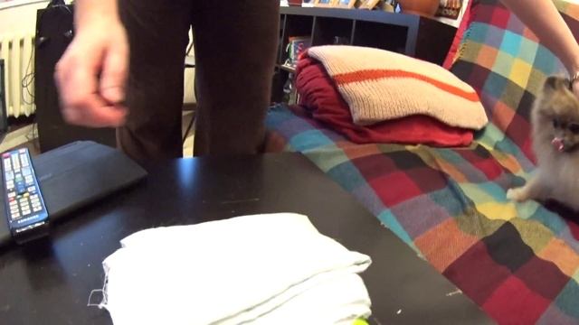 15 дней после рождения щенка. Наша Бэтти. Малый шпиц. смотреть онлайн