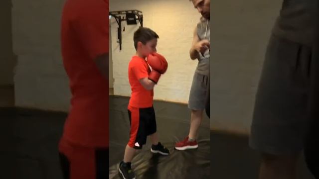 Персональная тренировка по боксу . Работа на снаряде . Отработка ударов . смотреть онлайн