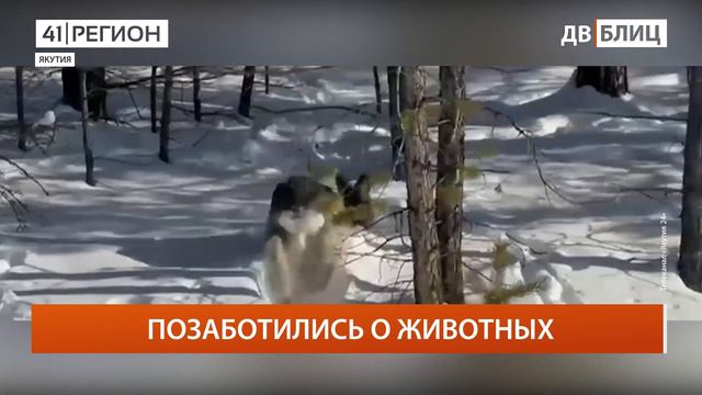 •ДАЛЬНИЙ ВОСТОК БЛИЦ• 13.03.2023 г. смотреть онлайн