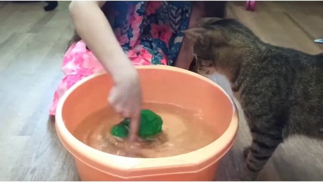 Как Вырастить и подстричь травянчик. 2 попытка. смотреть онлайн