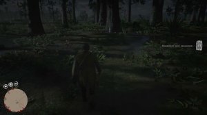 RDR 2 где найти Пантеру и Флоридскую пуму