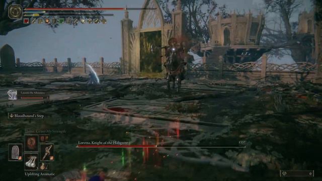 Elden Ring Loretta Ng+3 Vs Shield Build смотреть онлайн