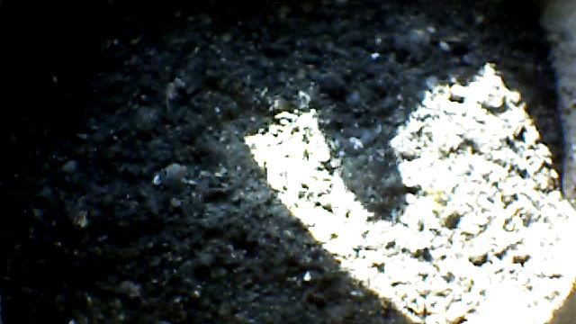 From Internet Camera(Turmfalken[03:1A:A5])2014/06/27,18:09:40_D смотреть онлайн