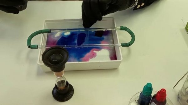 Окраска по Граму