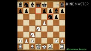 Ловушки в Сицилианской Защите за белых #1