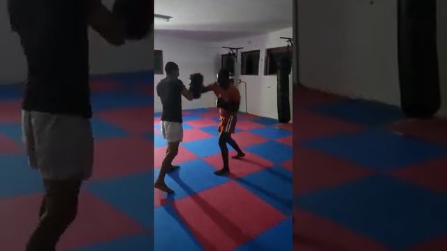 Toussaint Van Damme (2)