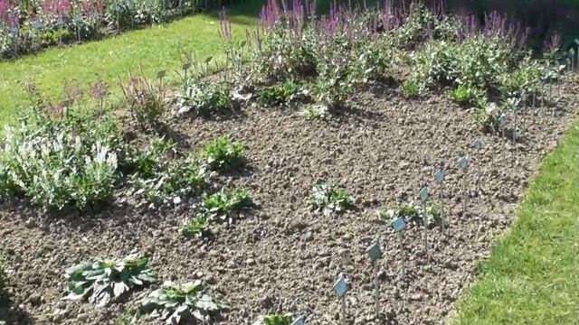 Сад, в котором испытывают растения смотреть онлайн