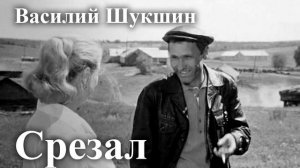 Василий Шукшин. «Срезал». Читает Александр Алпаткин