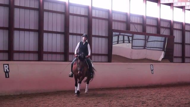 Sale Video for Epique Equestrian смотреть онлайн