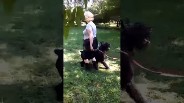 VID 20160718 WA0000 1