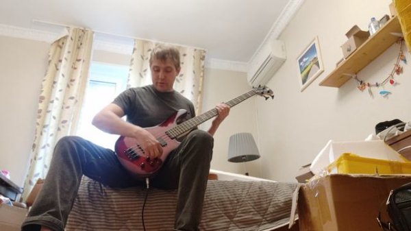 Обзор звука и эксплуатации китайской реплики бас-гитары Spector NS Pulse 2