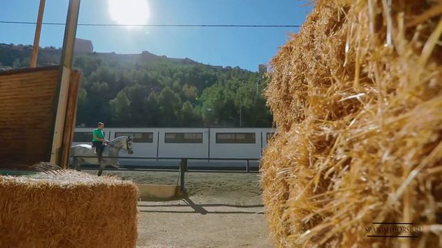 Вот такая красота