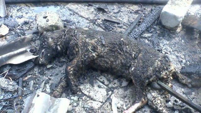 Трудовские 18.05.2018 г. горит дом смотреть онлайн