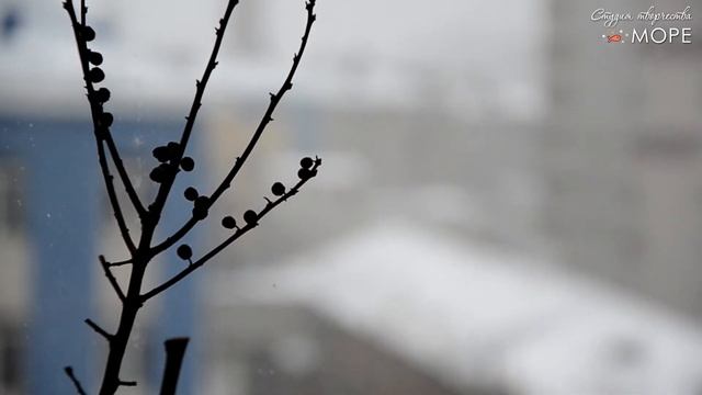 Графика деревья смотреть онлайн