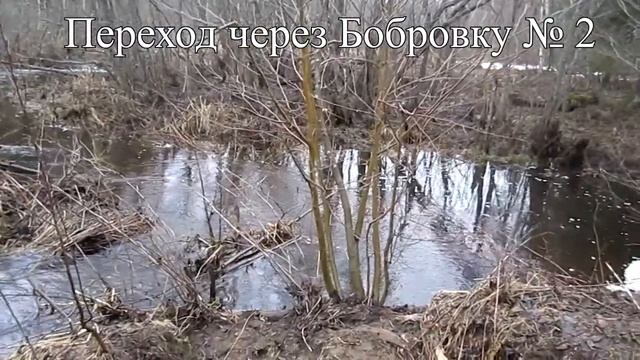 лес смотреть онлайн