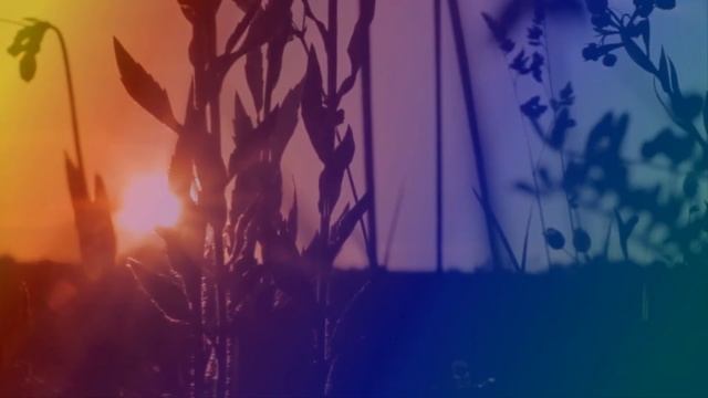 Песня на ст С Есенина Задымился вечер Муз П Антипина,поет Г Погорельская смотреть онлайн