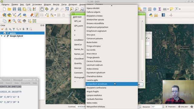 Как создать новую точку по координатам в QGIS в сушествующем слое смотреть онлайн