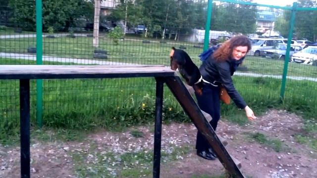 Служебная Корица смотреть онлайн