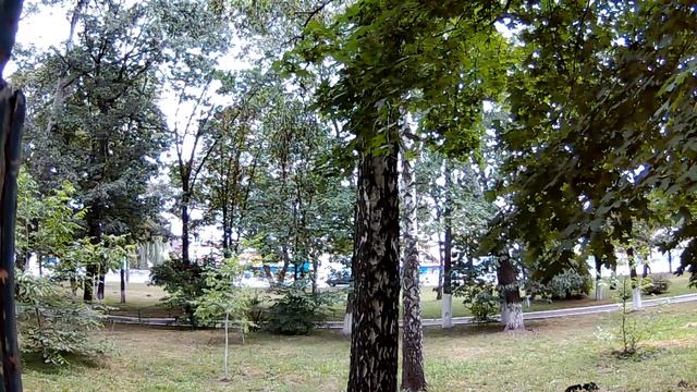 Тестоое видео с видеокамеры Gazer HD IP Camera CI223