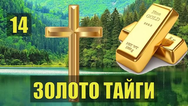 ЗОЛОТО ТАЙГИ 2 ВСЕ СЕРИИ ТАЙГА ЛЕС ИСТОРИИ из ЖИЗНИ ДЕТЕКТИВ ПРИИСК СЛУЧАЙ в ТАЙГЕ СУДЬБА СЕРИАЛ смотреть онлайн