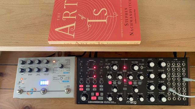 Ambient Improvisation // 21 // Moog Subharmonicon // Hologram Electronics Microcosm смотреть онлайн